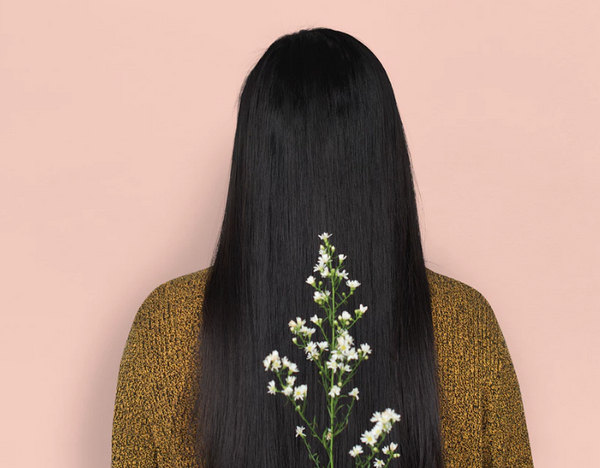 The Best Natural Oils for Healthier Hair